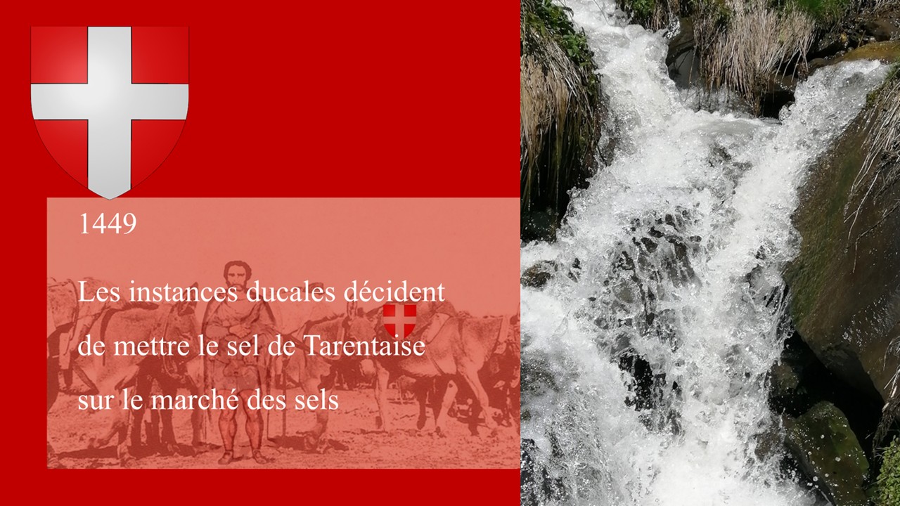 Le sel de Tarentaise sur les marchés des sels 1449